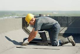 Best Skylight Installation and Repair  in Concord, MI